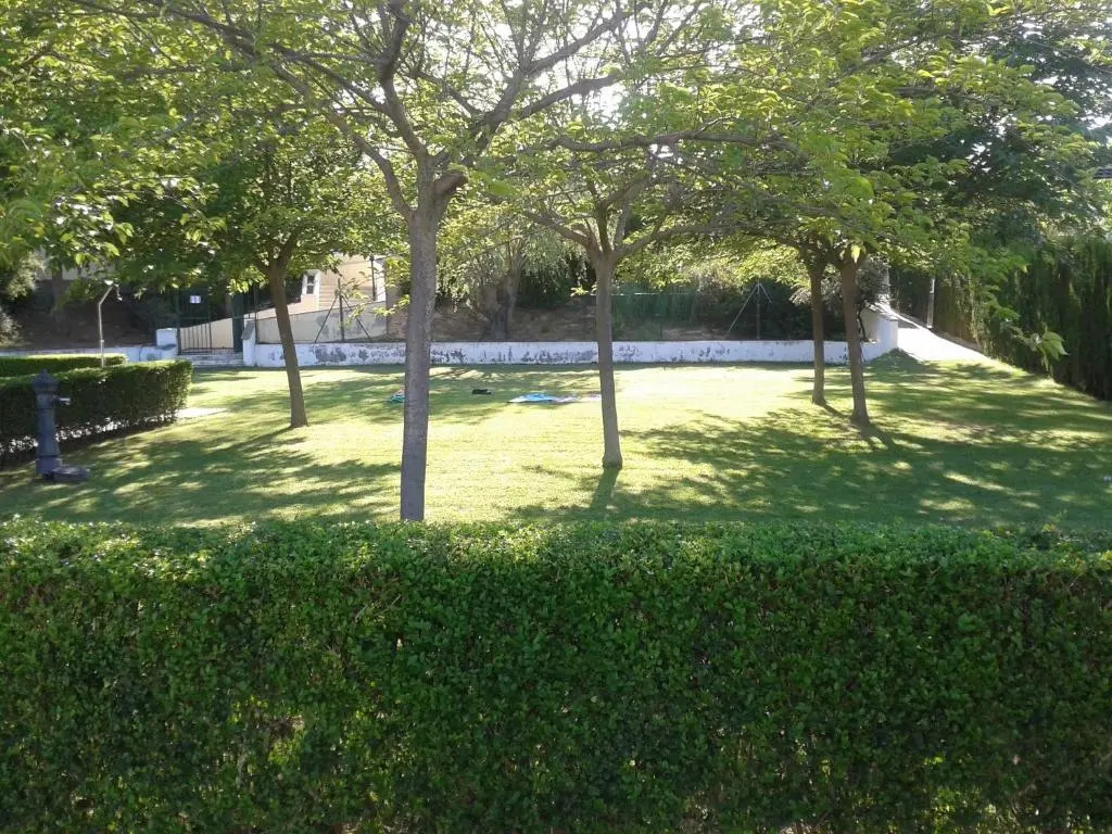 Camping Fayón Fishing