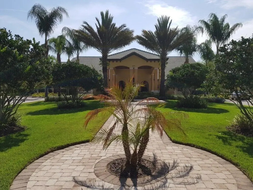 8926mp - Paradise Palms