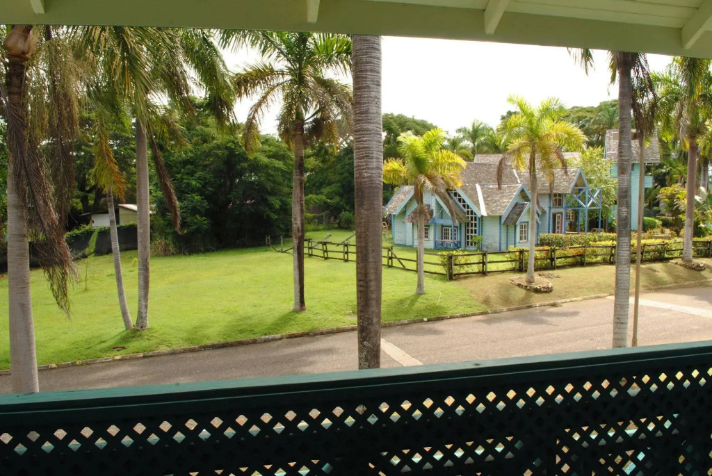 Mango Beach Studio