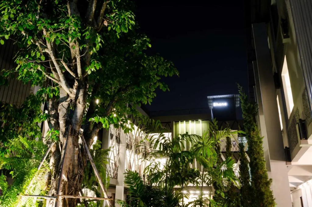 Shane Hotel