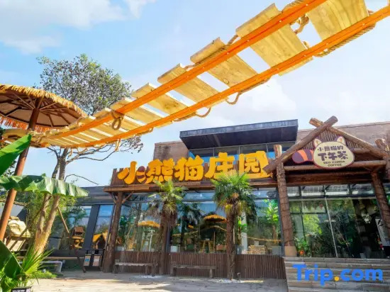 Changzhou Maoshan Forest World Camping Base