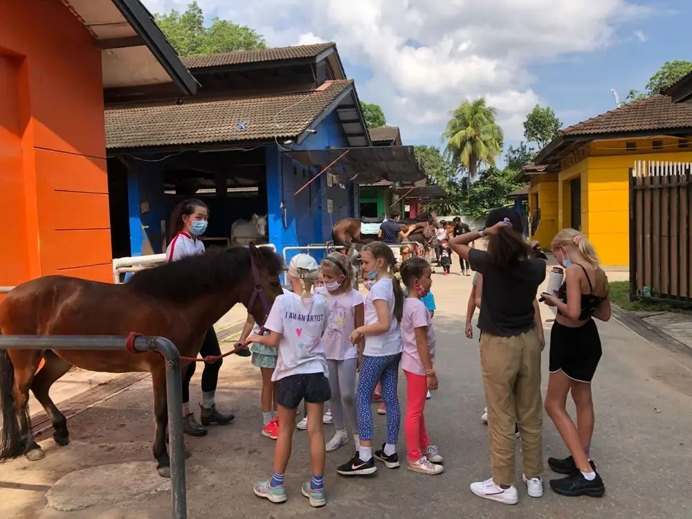 Glamping @ Bukit Timah Horsecity