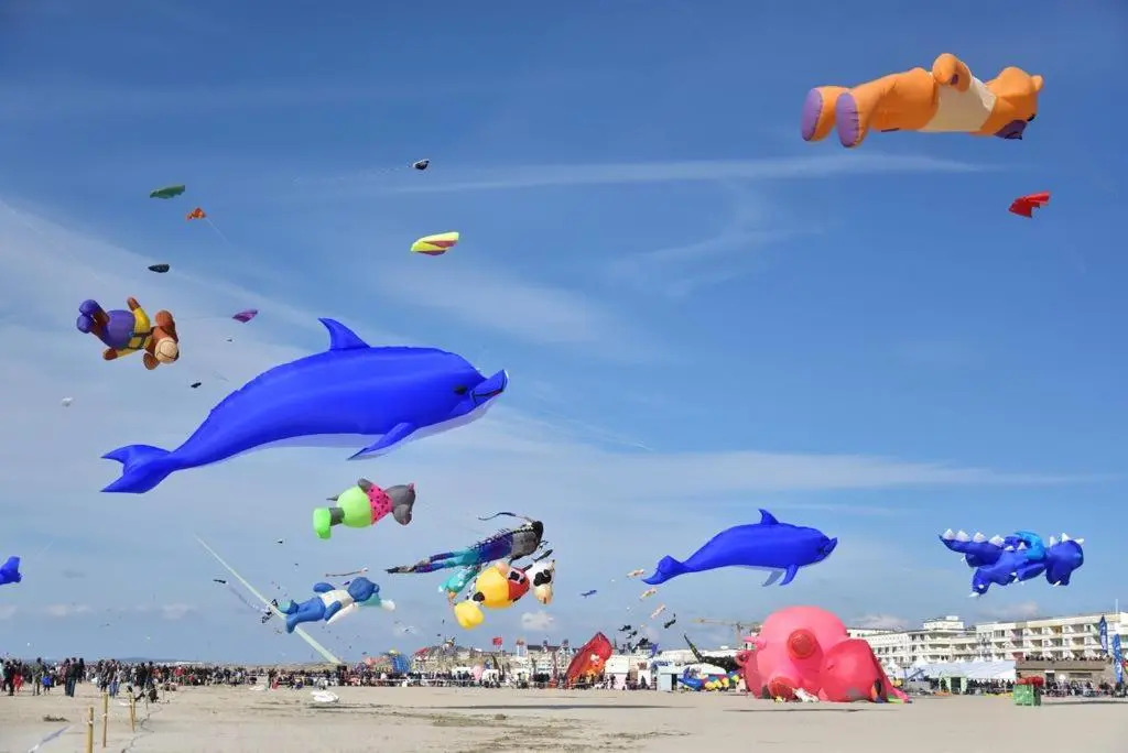 Cocoon Berckois 250M De La Plage + Wifi + Parking Public