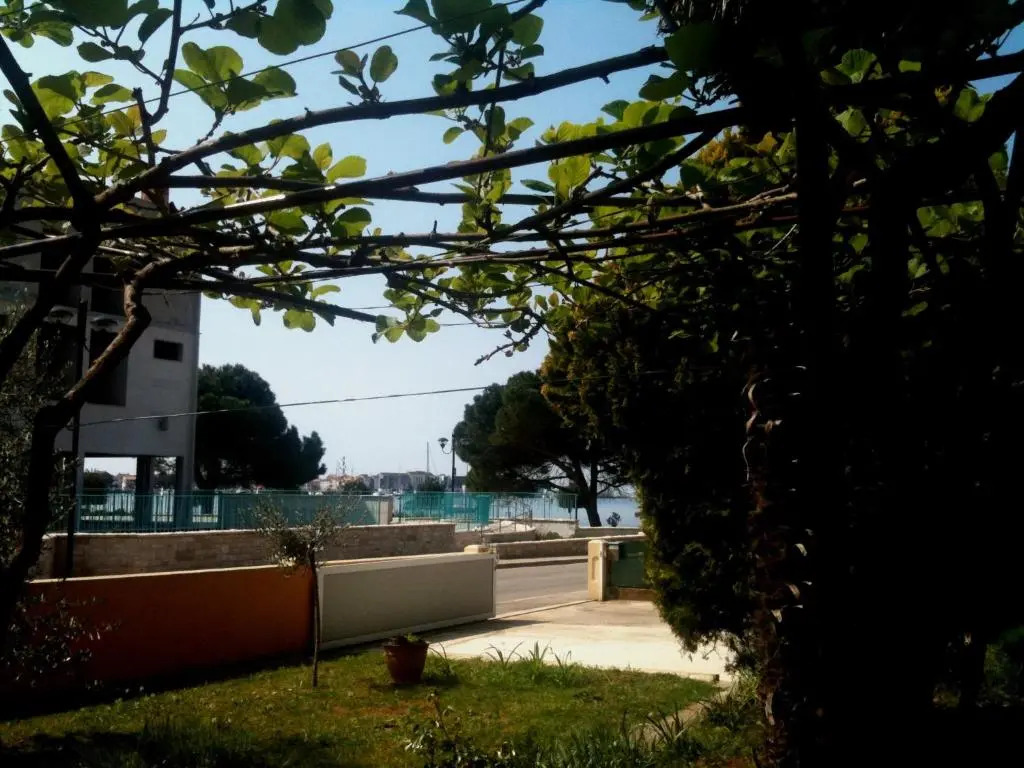 Accommodation Vitalio