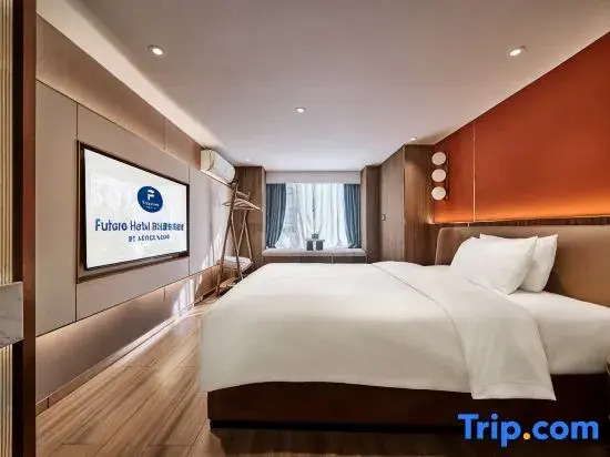 Starwood Future Loft Suite Meisu Hotel (Changsha South Railway Station · Duhua Road Metro Branch)