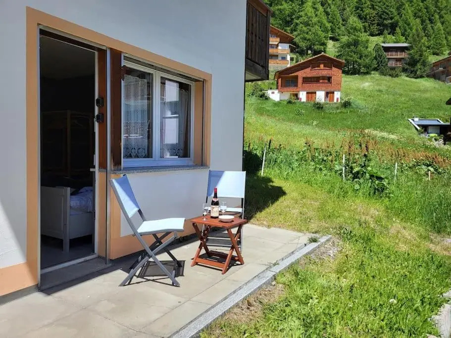 Ski-in cosy studio