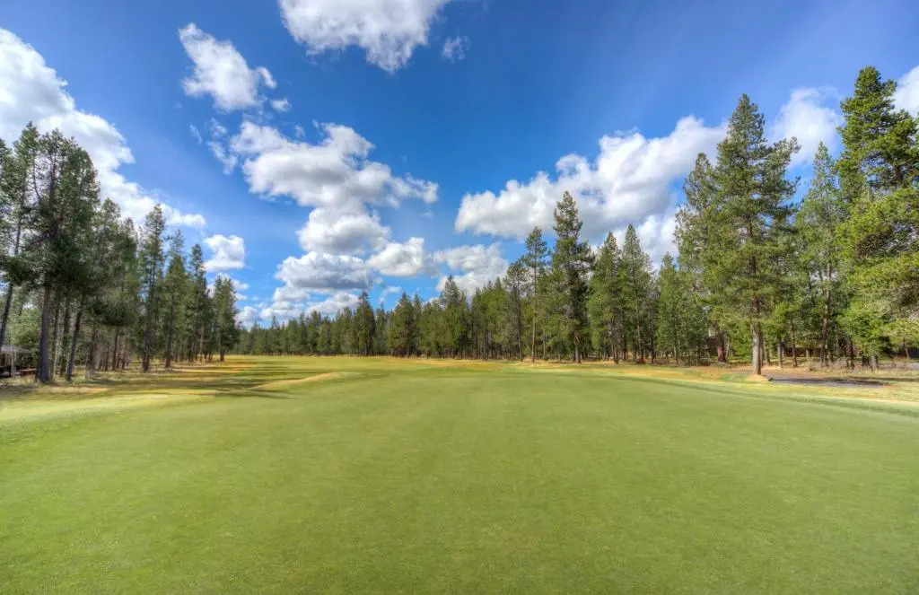 Lassen Lane 15