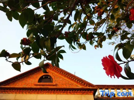 Slow House Yangtao Mansion