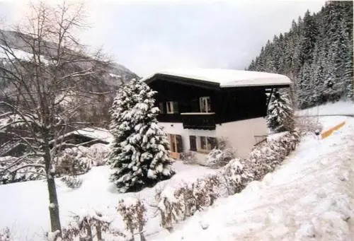 Chalet 10 Pers. Avec Terrasse Plein Sud 71352