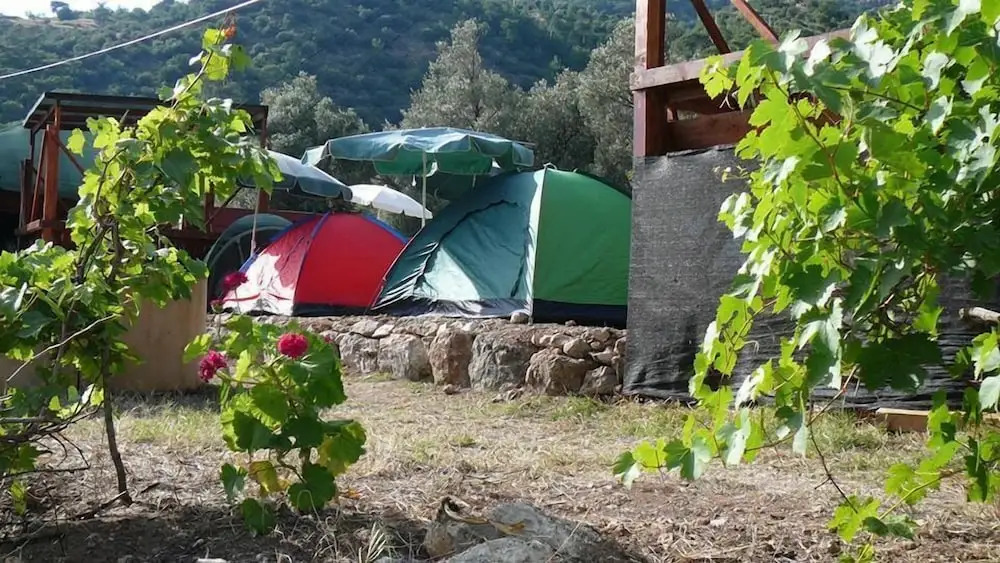 Asiyan Kamp