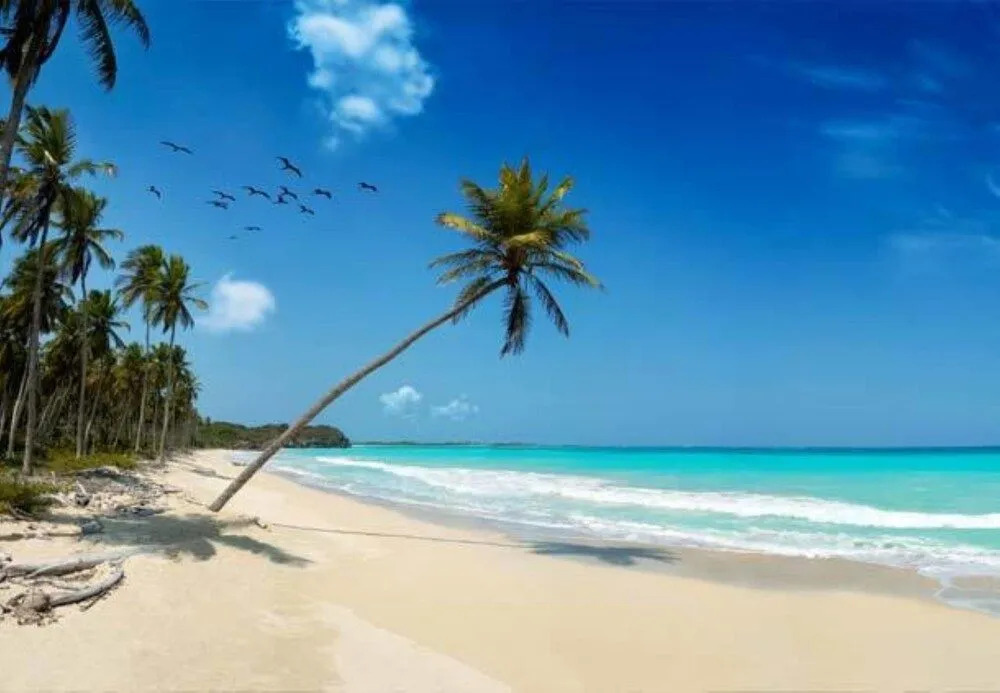Mangro Hotel Diani Beach