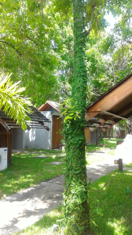 Into The Forest Resort