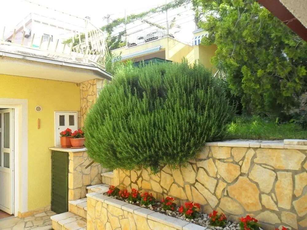Zlato - With Pool - SA1 Murva