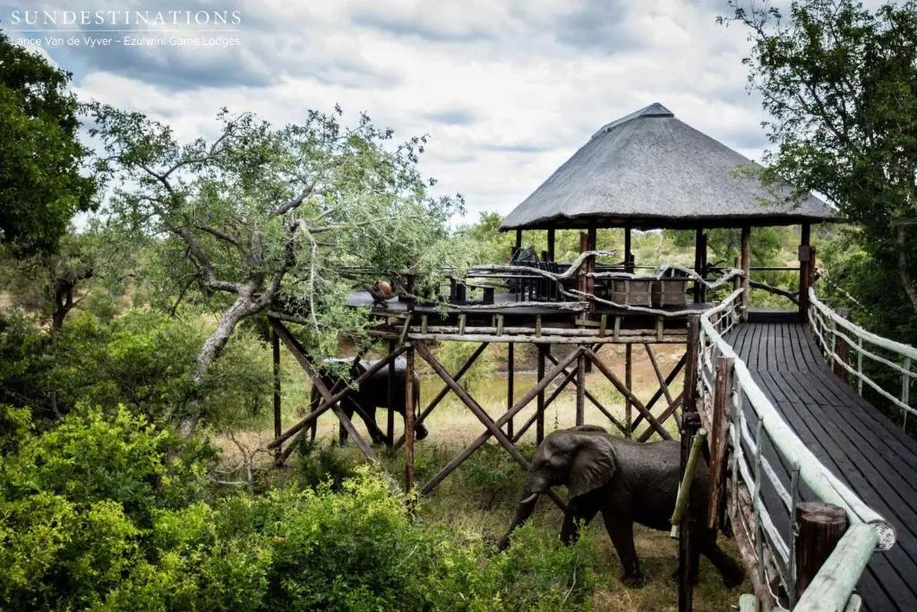 Ezulwini Game Lodges
