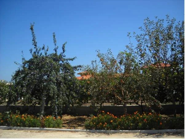 Sani Family Hotel