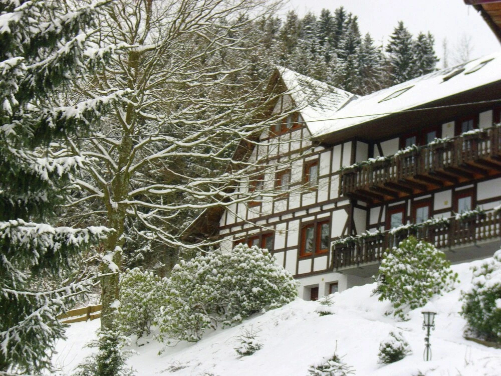 Peaceful Apartment in Schmallenberg With Terrace