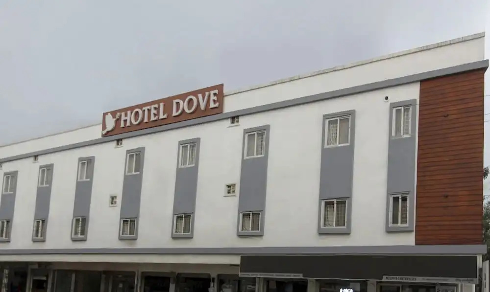 Treebo Trend Dove
