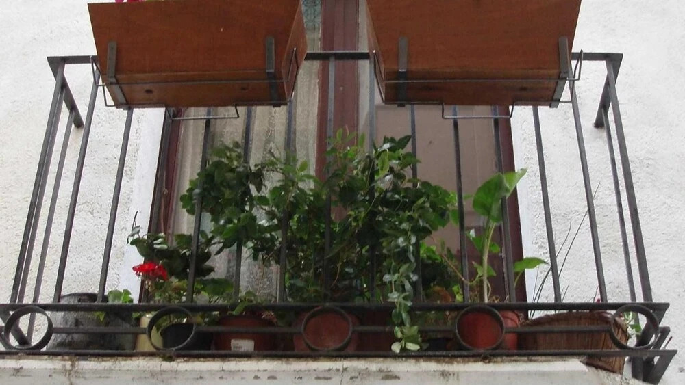 La Llicorella