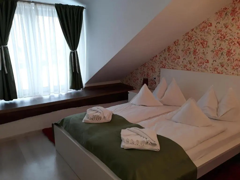 Pensiunea Casa Rusu