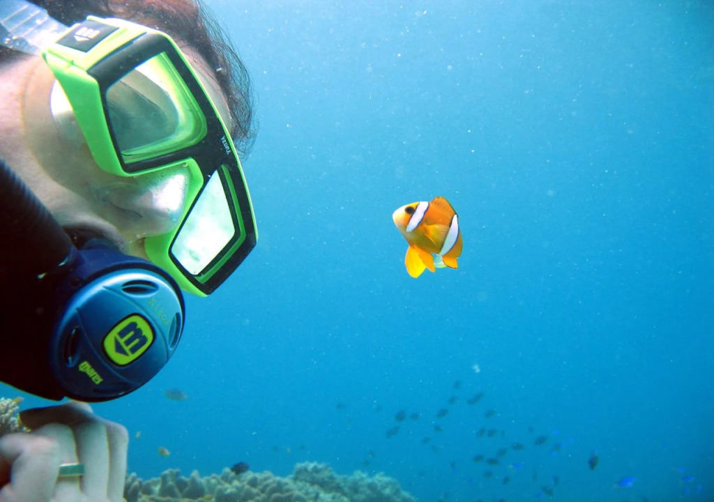Blue Star Dive and Resort