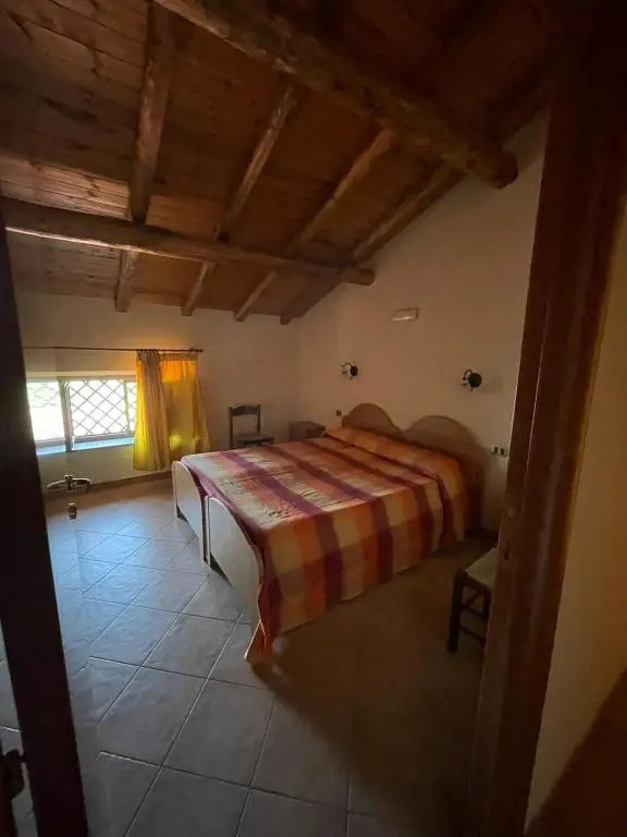 Il noceto dellEtna