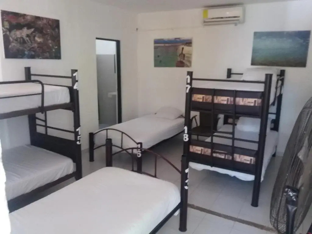 Loft 10 Hostel