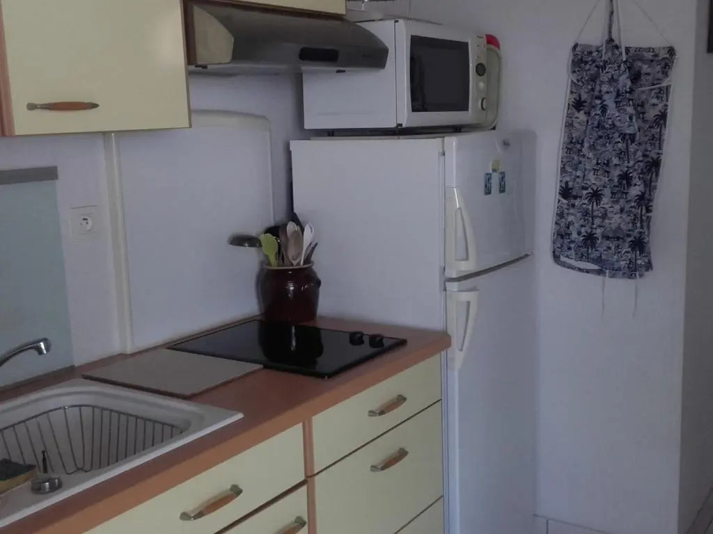 Appartement Arcachon, 2 pièces, 4 personnes - FR-1-319-10