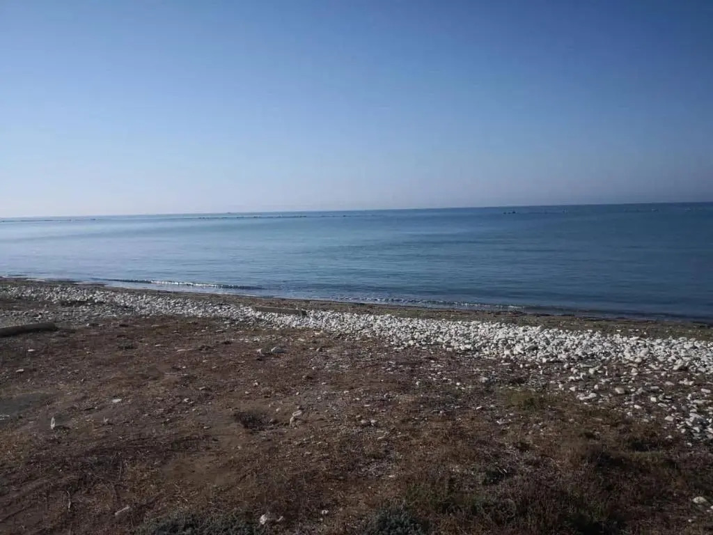 Sandy Beach N.8