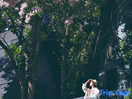 LIJIANG Shenlv··Snow Mountain Courtyard·Wild Luxury Forest Treehouse Designer Homestay