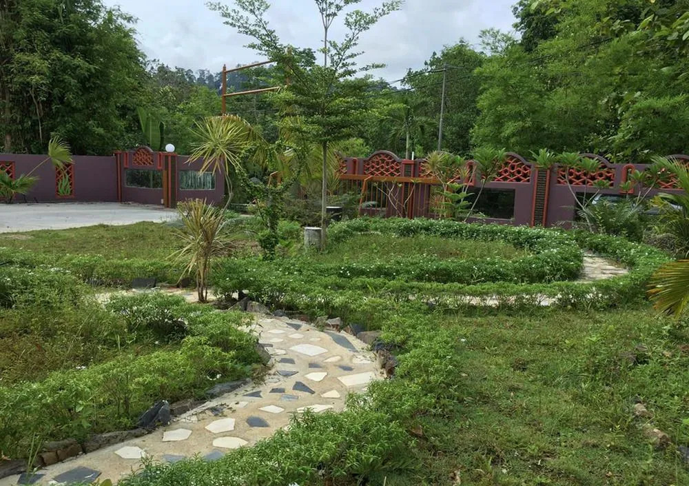My Forest Hotel