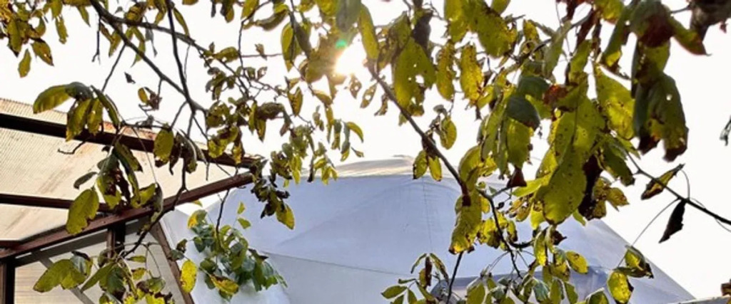 Time Out Sapanca Glamping Dome