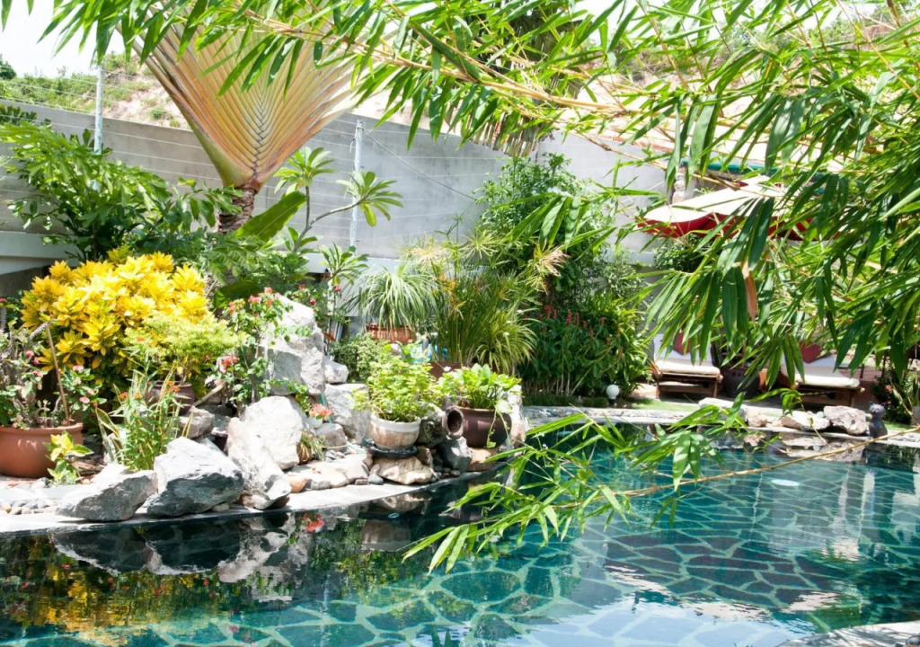 Evergreen Resort