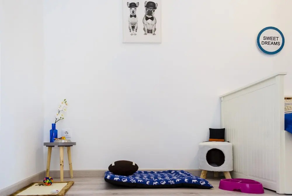 Apartup Viveros Pets