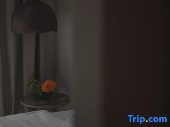 Liwu Live Homestay (People's Great Hall)