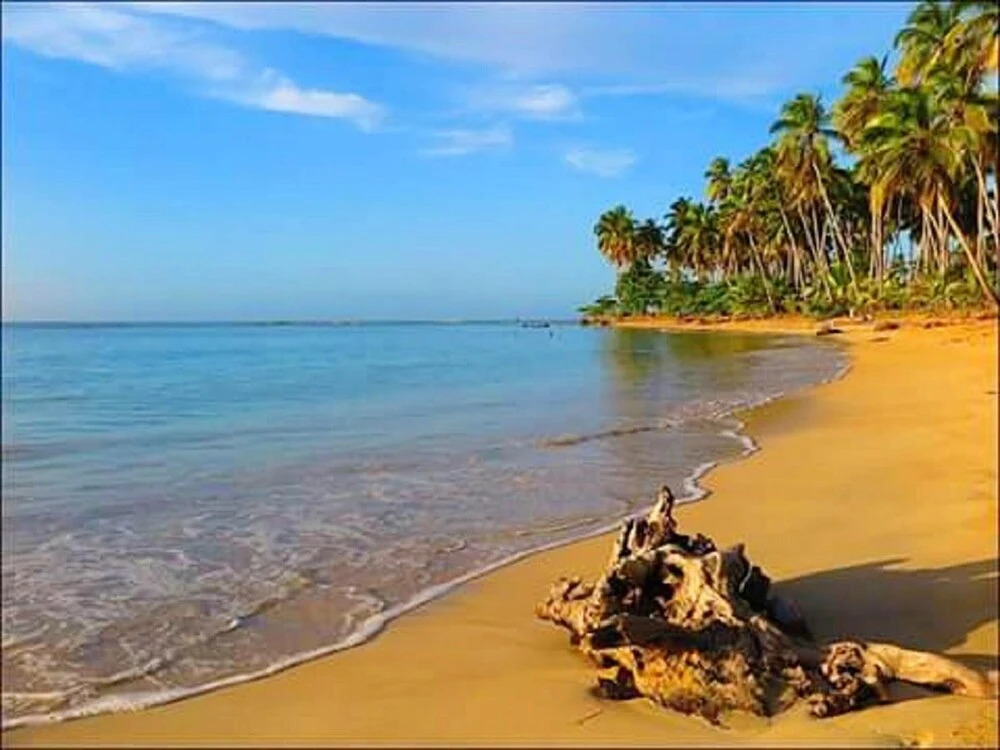 House With 4 Bedrooms in Las Terrenas, With Private Pool, Enclosed Gar