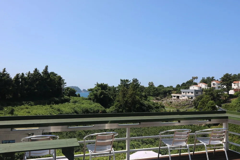 White Whale Guesthouse - Hostel