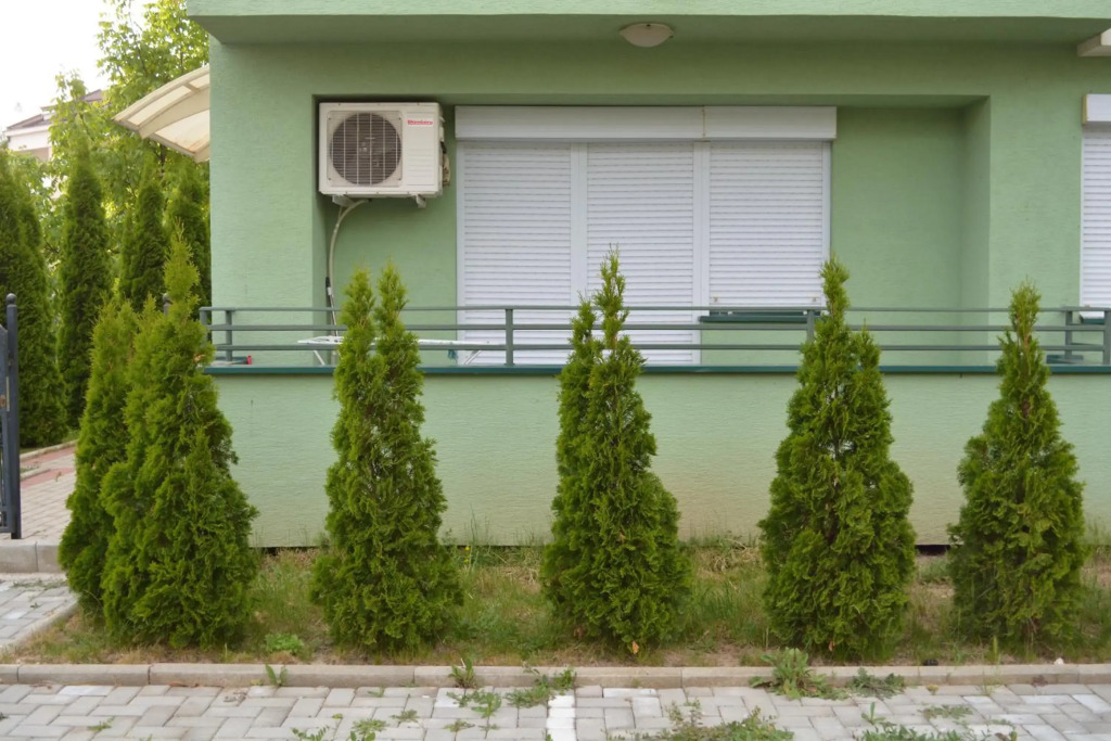 Beauty Apartment
