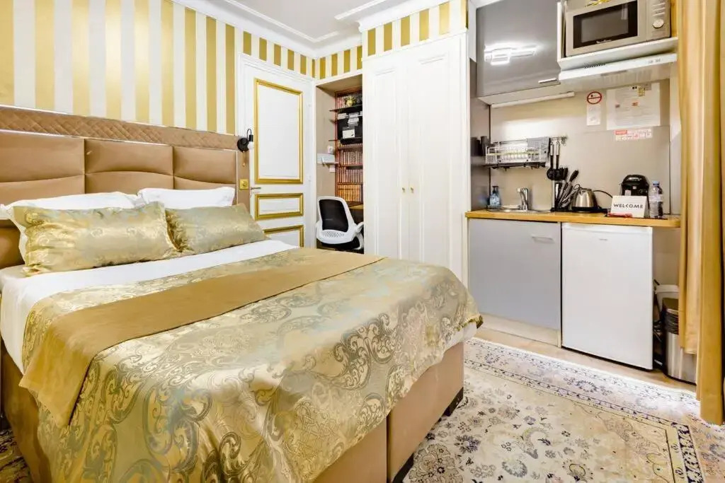 Renovated 23 2br 6p Champs Elysees-Arc de Triomphe