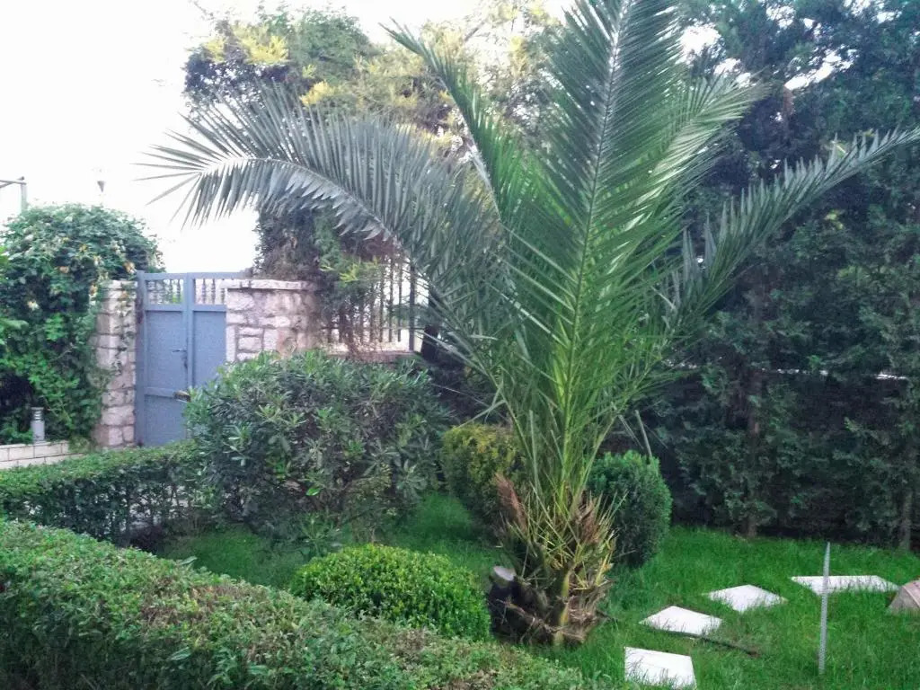 Vila Mateo