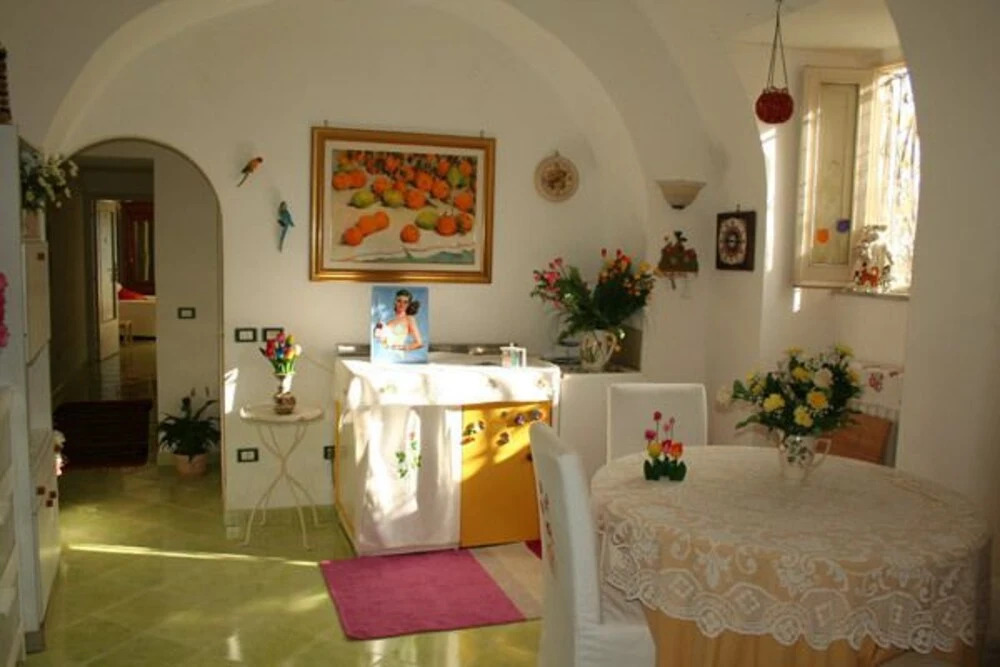 Il Tulipano