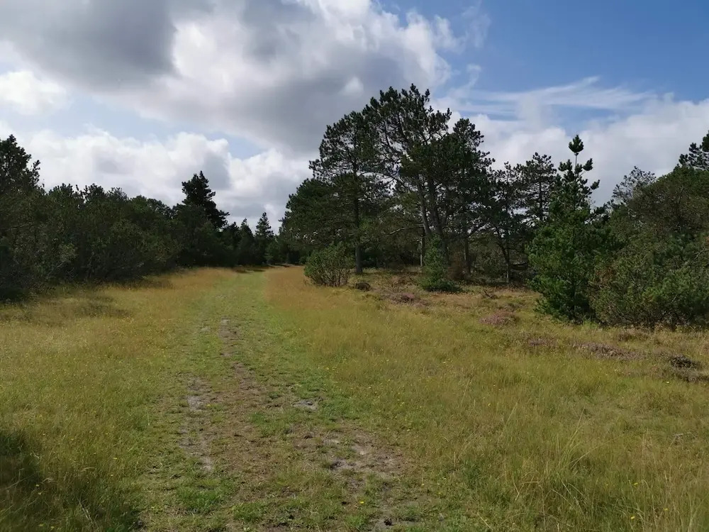 5 person holiday home in Nørre Nebel