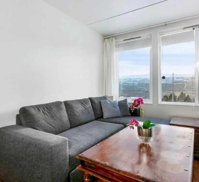 Privat studio leilighet, Oppdal Stølen-skisenter