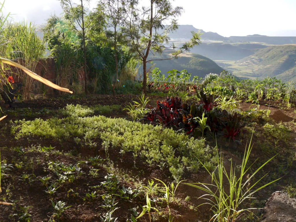 Sora Lodge Lalibela