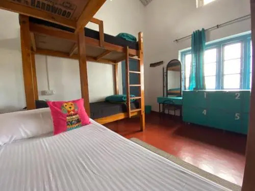 The Birdhouse Backpackers Hostel