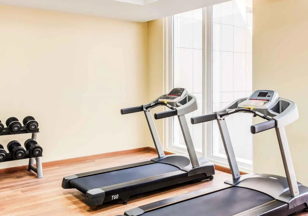 Ibis Yanbu