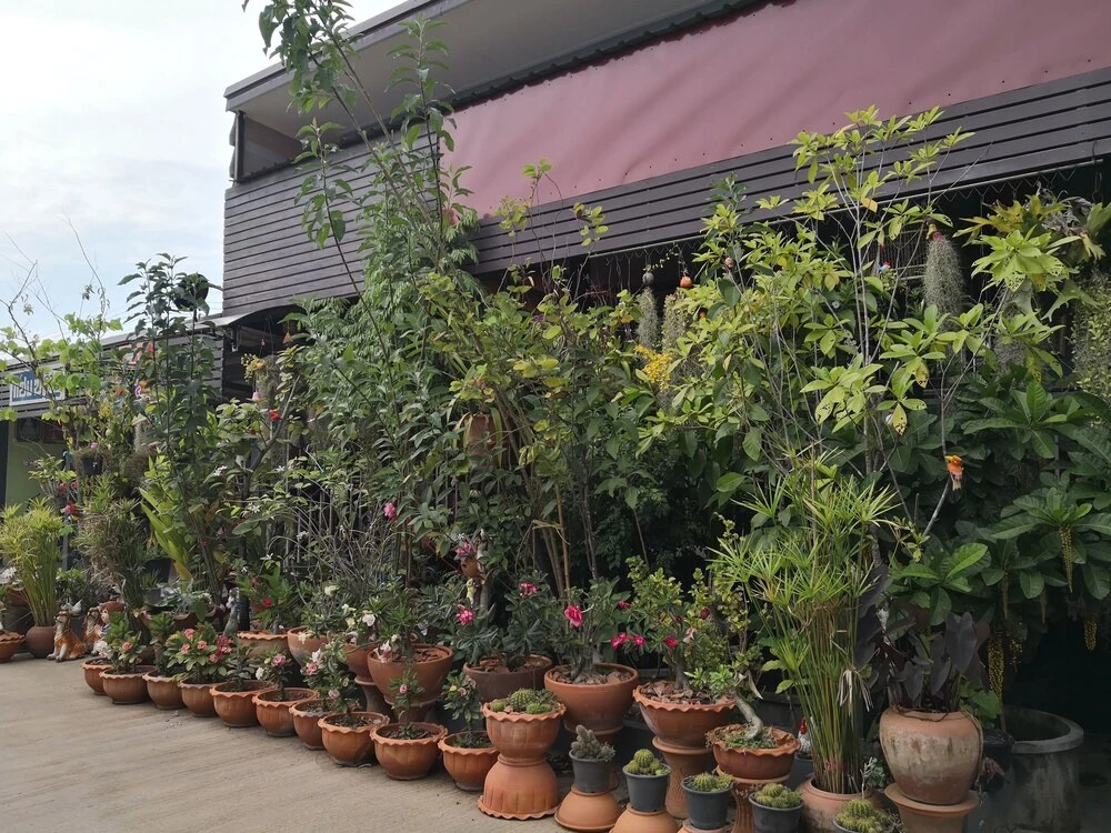 Sam Cee Resort