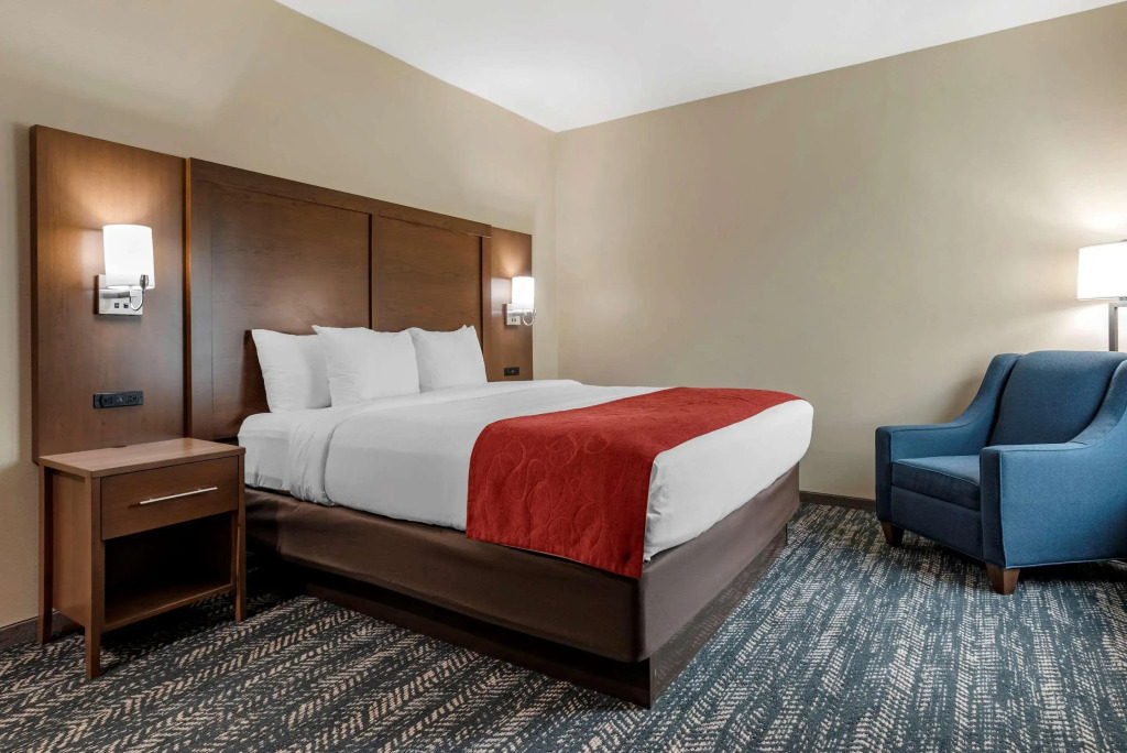 Comfort Inn & Suites Downtown near University
