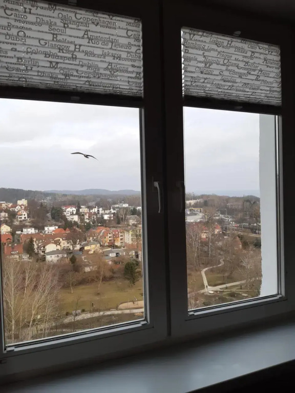 Viewpoint