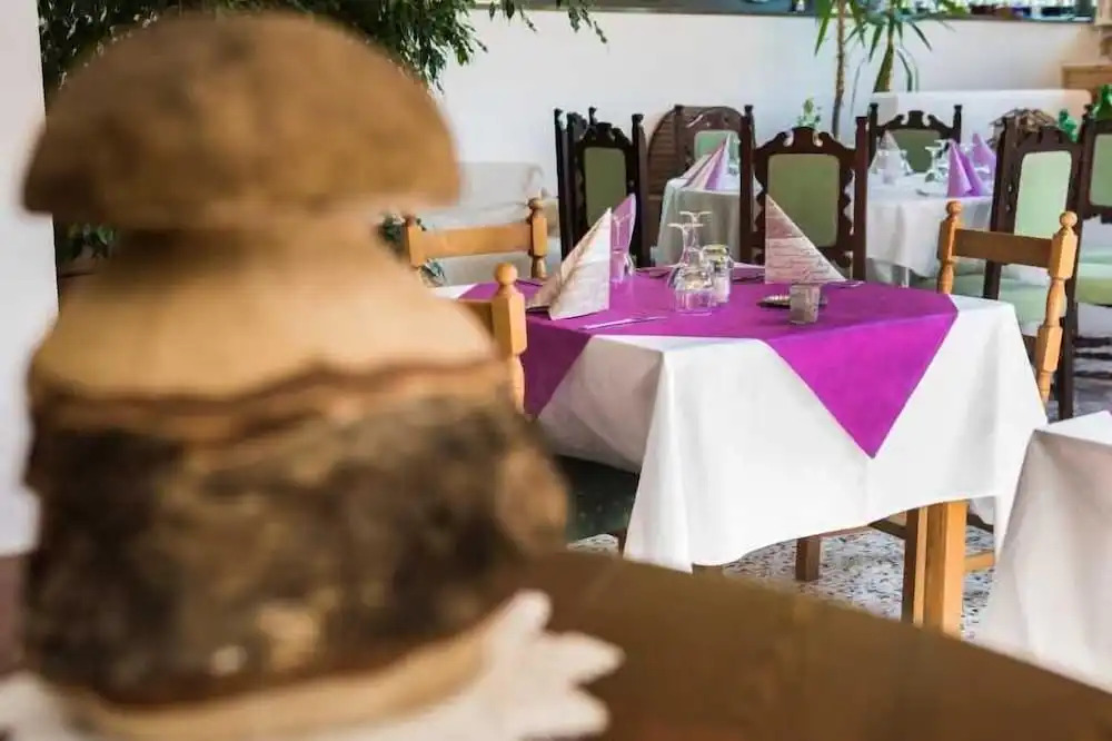 Hotel Park Oasi