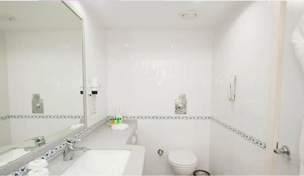 Holiday Inn Istanbul City by IHG